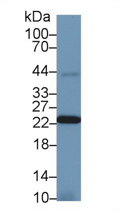 13765