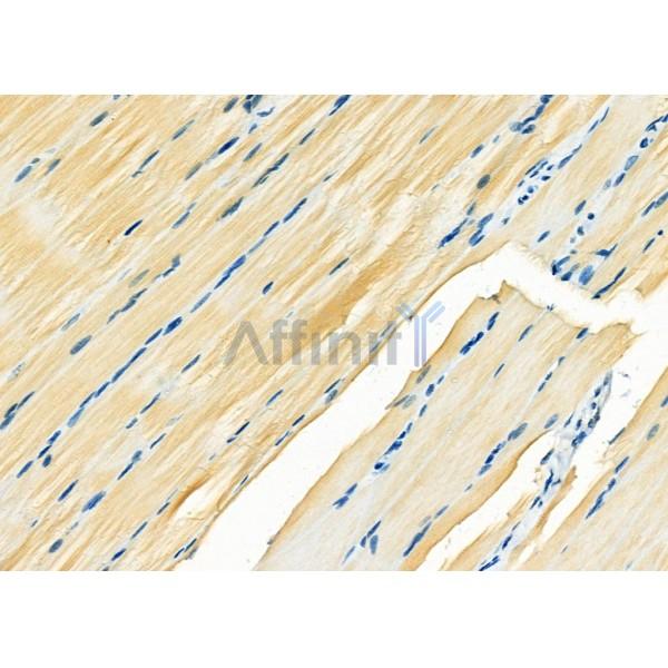 Валидация Affinity DF2269 - 12822
