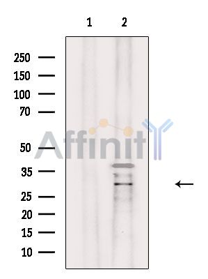 Валидация Affinity DF3718 - 14771