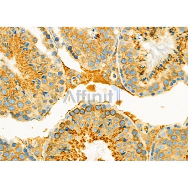 Валидация Affinity DF8330 - 20183