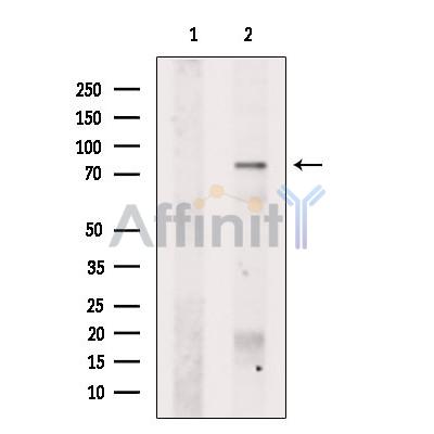 Валидация Affinity DF13228 - 8265