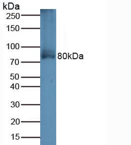 5960
