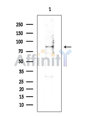 Валидация Affinity DF15014 - 11221
