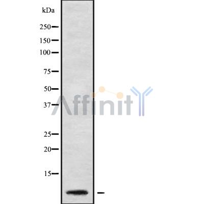 Валидация Affinity DF9136 - 21465