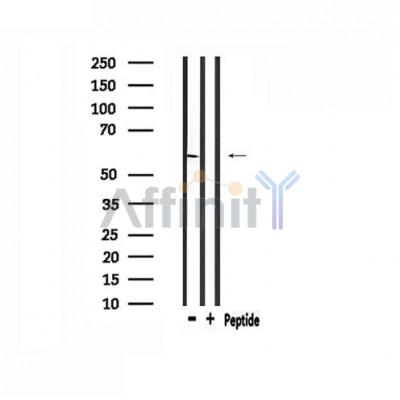 Валидация Affinity DF4768 - 16480