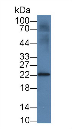 10482