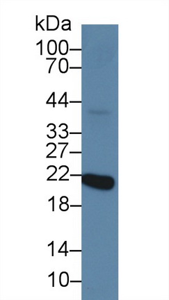 9302