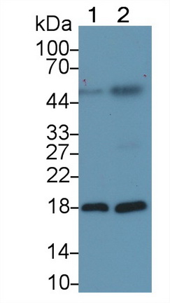 64220