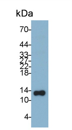 30648