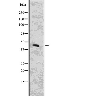 Валидация Affinity DF7653 - 19421