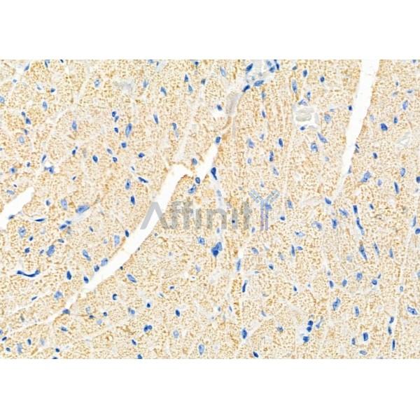 Валидация Affinity DF9276 - 21722