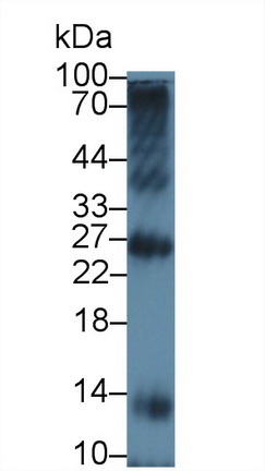 9108
