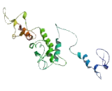 5"-Nucleotidase, Cytosolic IB (NT5C1B)