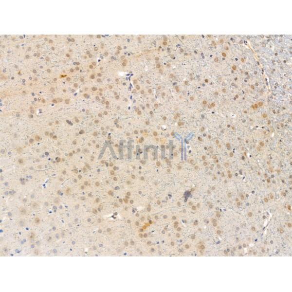 Валидация Affinity DF13550 - 8989