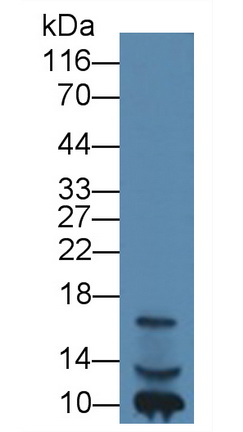 329