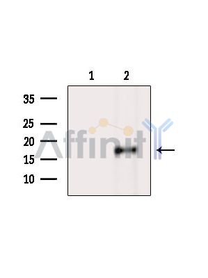 Валидация Affinity DF13962 - 9713