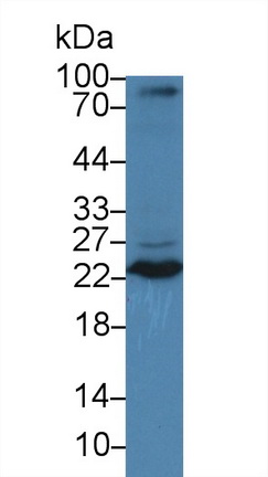 9530