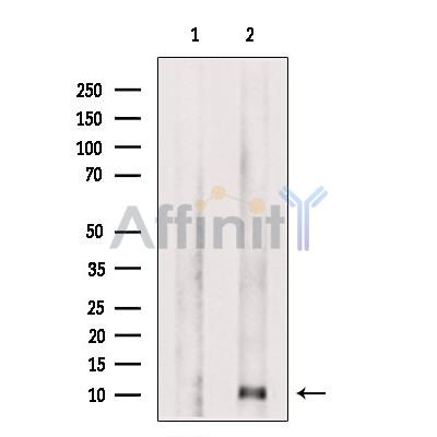 Валидация Affinity DF6545 - 17979