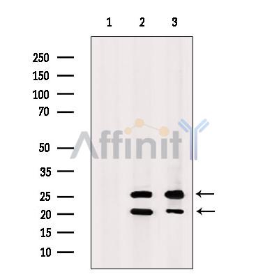 Валидация Affinity DF10266 - 5869