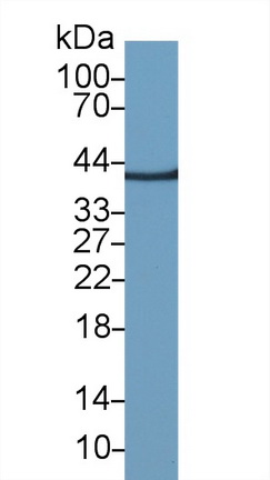 13822