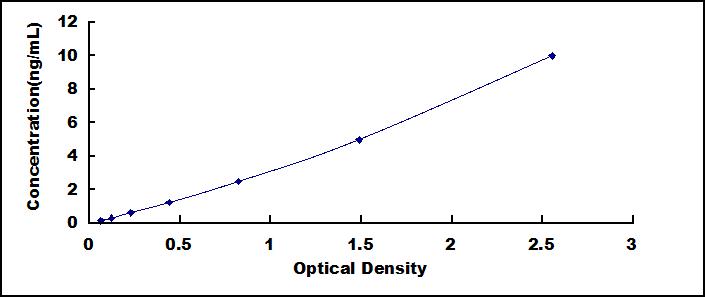 60071