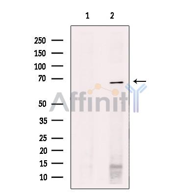 Валидация Affinity DF10359 - 5983