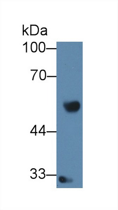 12535