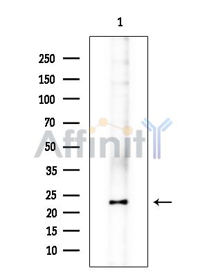 Валидация Affinity DF9436 - 22004