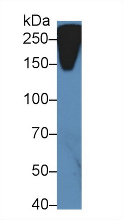 9805