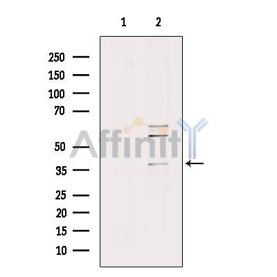 Валидация Affinity DF9828 - 22719