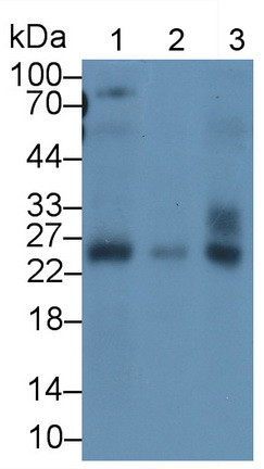 62802
