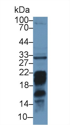 8517