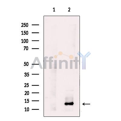 Валидация Affinity DF12179 - 6399