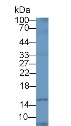 10008