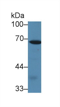 8575