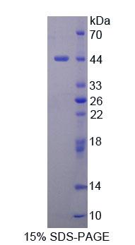 58671