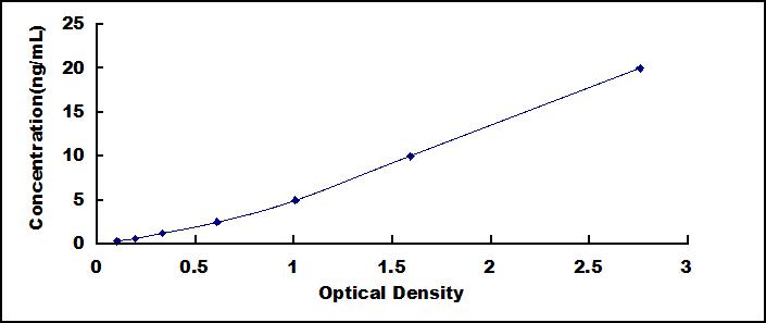 42066