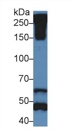 13880