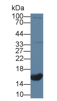 10234