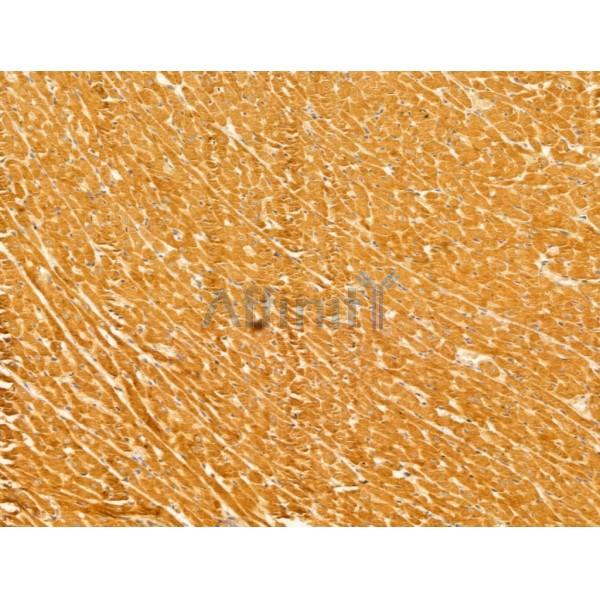 Валидация Affinity DF13040 - 7875
