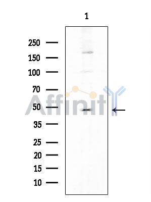 Валидация Affinity DF8817 - 20876