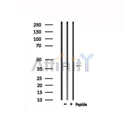 Валидация Affinity DF4903 - 16703