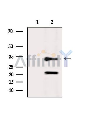 Валидация Affinity DF6784 - 18354