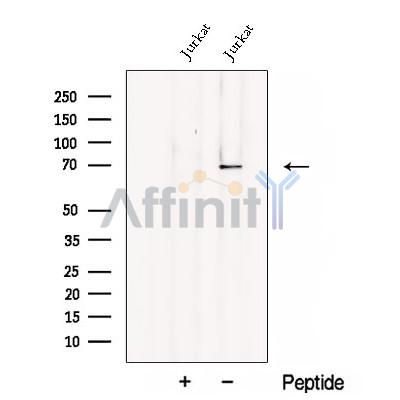 Валидация Affinity DF12898 - 7644
