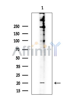 Валидация Affinity DF3445 - 14351