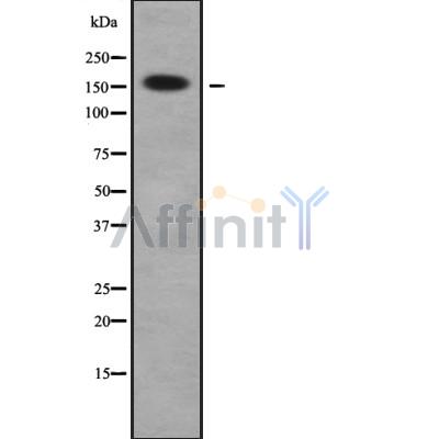 Валидация Affinity DF9857 - 22776