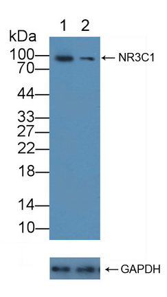 12140