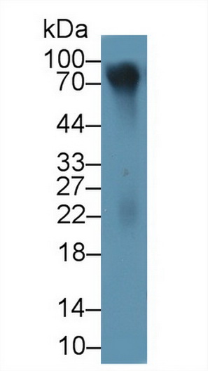 13375