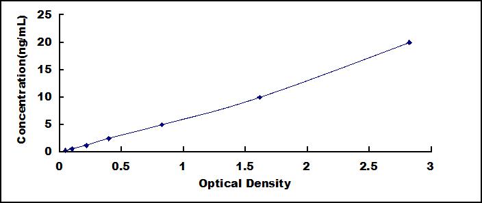 33905