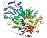 DEAH Box Polypeptide 16 (DHX16)